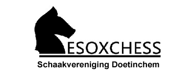 schaakvereniging doetinchem